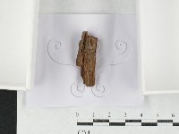 登錄號:F0027147藏品圖，第1張