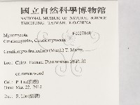 登錄號:F0027148藏品圖，第2張