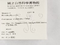 登錄號:F0027149藏品圖，第2張