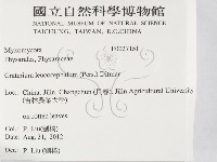 登錄號:F0027151藏品圖，第2張
