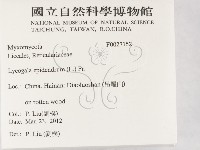 登錄號:F0027152藏品圖，第2張