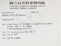 絲齒菌屬藏品圖，第2張