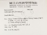 登錄號:F0027160藏品圖，第2張