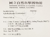 登錄號:F0027161藏品圖，第2張