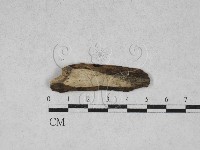 登錄號:F0027164藏品圖，第1張