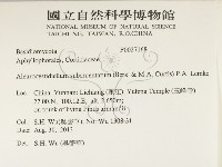 登錄號:F0027168藏品圖，第2張