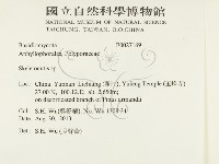 骨皮菌屬藏品圖，第2張