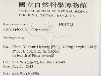 附毛菌屬藏品圖，第2張