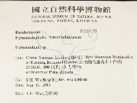 刺革菌屬藏品圖，第2張