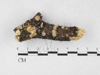 登錄號:F0027177藏品圖，第1張