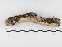 登錄號:F0027178藏品圖，第1張