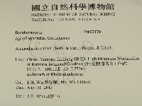 登錄號:F0027179藏品圖，第2張