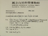 登錄號:F0027181藏品圖，第2張