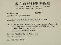 登錄號:F0027183藏品圖，第2張