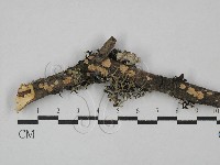 登錄號:F0027183藏品圖，第1張