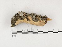 登錄號:F0027187藏品圖，第1張