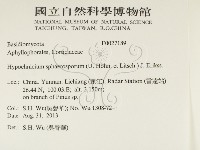 登錄號:F0027189藏品圖，第2張