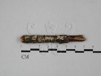 登錄號:F0027190藏品圖，第1張