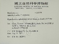 登錄號:F0027191藏品圖，第2張