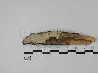 登錄號:F0027191藏品圖，第1張