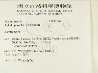 登錄號:F0027192藏品圖，第2張