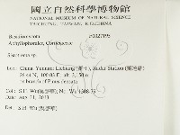 登錄號:F0027195藏品圖，第2張