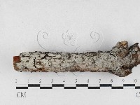 登錄號:F0027195藏品圖，第1張