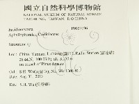 登錄號:F0027196藏品圖，第2張