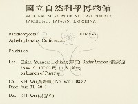 射脈菌屬藏品圖，第2張