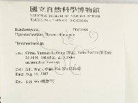 刺革菌屬藏品圖，第2張