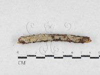 登錄號:F0027199藏品圖，第1張