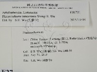 登錄號:F0027201藏品圖，第2張