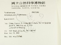 登錄號:F0027205藏品圖，第2張