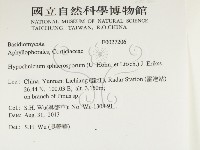 登錄號:F0027206藏品圖，第2張