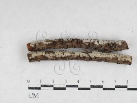 登錄號:F0027206藏品圖，第1張