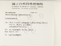 刺革菌屬藏品圖，第2張