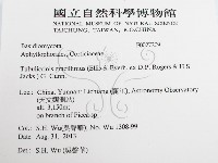 登錄號:F0027209藏品圖，第2張