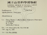 登錄號:F0027210藏品圖，第2張