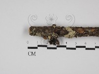 登錄號:F0027210藏品圖，第1張