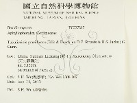 登錄號:F0027213藏品圖，第2張