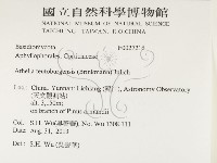 登錄號:F0027216藏品圖，第2張