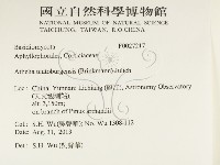 登錄號:F0027217藏品圖，第2張