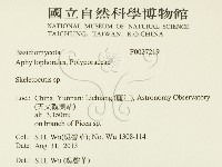 骨皮菌屬藏品圖，第2張