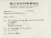 骨皮菌屬藏品圖，第2張