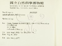 骨皮菌屬藏品圖，第2張
