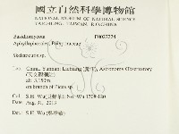 骨皮菌屬藏品圖，第2張