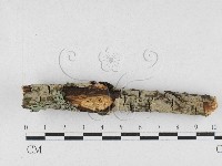 登錄號:F0027229藏品圖，第1張