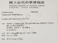 登錄號:F0027232藏品圖，第2張