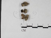 登錄號:F0027232藏品圖，第1張