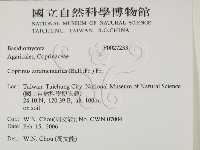 登錄號:F0027233藏品圖，第2張